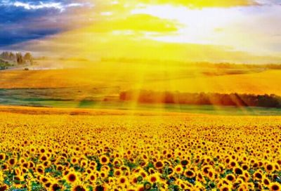 《八十天环游地球》读后感合集范文8篇