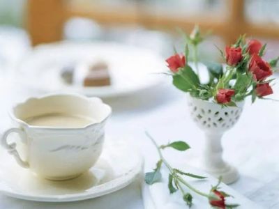 学生读物《海底两万里》通用读后感三篇