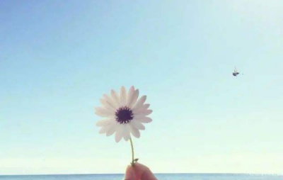 最新版《不抱怨的世界》读后感范文11篇