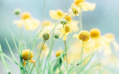 《寄小读者》读后感通用范文10篇