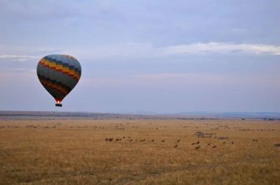 化验员个人工作总结范文3篇
