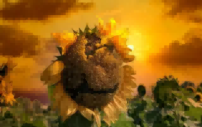 管理岗申请书最新6篇