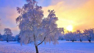 高二班主任工作计划第一学期7篇