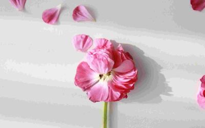 初二英语下学期教学工作计划5篇