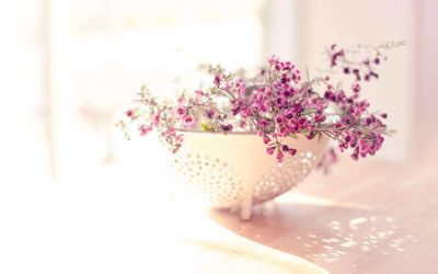 《做不抱怨的教师》读书笔记范文3篇