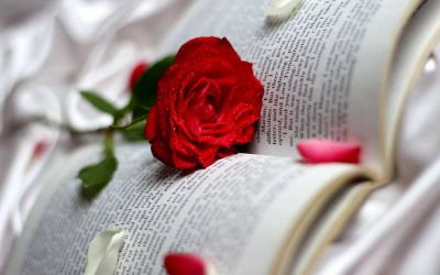 关于感动中国人物心得体会范文3篇