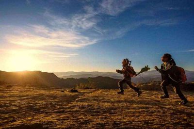 学生退学申请书热门范文三篇