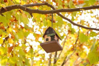 地理教师工作总结实用范文3篇