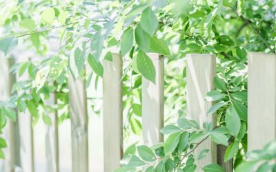 班主任班务个人工作计划范文三篇