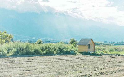 七年级语文教学计划第一学期5篇