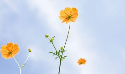 优秀学生代表发言稿实用范文3篇