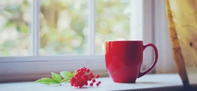 上海市3月2日确诊病例情况