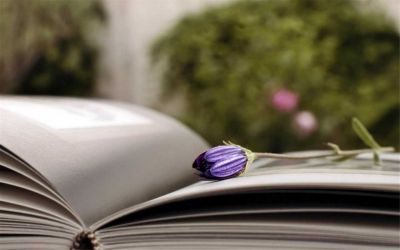 托班个人总结优质5篇