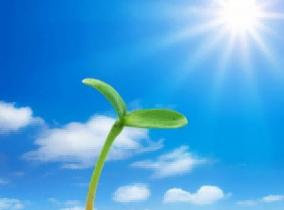 彩色的诗读后感参考7篇