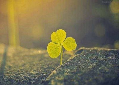 《云边有个小卖部》读后感精编范文6篇