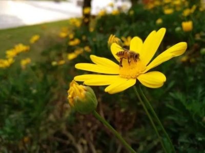 最新版高三百日誓师大会演讲稿3篇