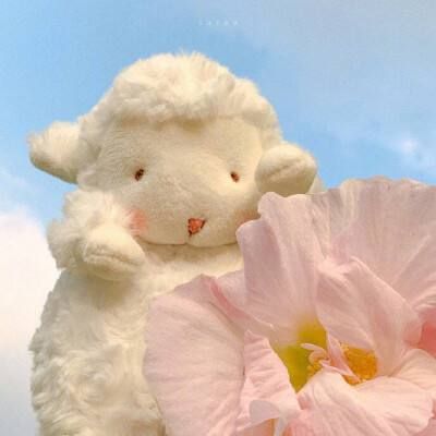 《梅花魂》读后感精选范文11篇