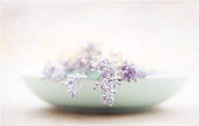 热门版《远大前程》读后感范文6篇