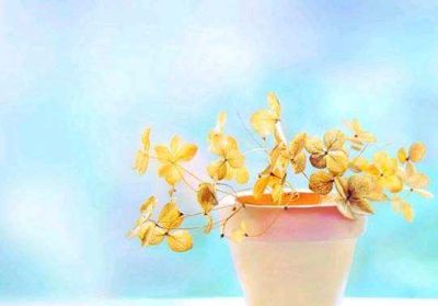 学生会成员个人工作计划范文三篇