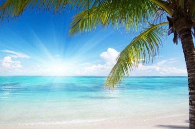 个人校本研修工作计划范文最新6篇