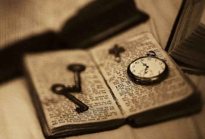 《森林报》读后感实用范文25篇