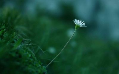 热门版《做最好的自己》读后感范文6篇