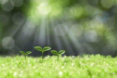 关于企业财务述职报告3篇