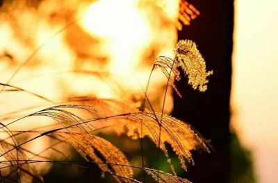 2024年教师节演讲稿范文参考6篇