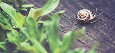 幼儿园工作计划总结小班最新5篇