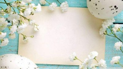 六年级数学教学计划第一学期5篇