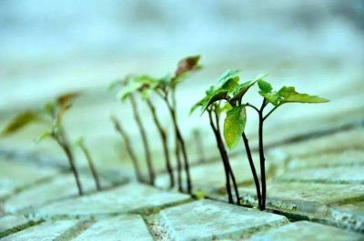 实用版社工培训心得体会范文5篇