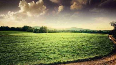 有关《不抱怨的世界》读后感范文6篇