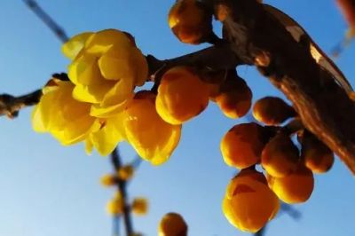 《远大前程》读后感集锦范文6篇