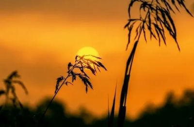 2022《羊脂球》读后感范文3篇