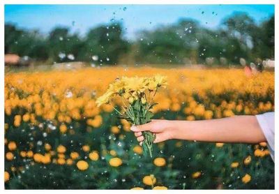 通用版初中教师教学计划范文三篇