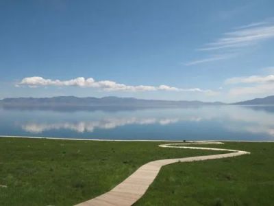 通用版大学生疫情防控心得体会范文3篇