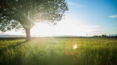 热门版房产赠与合同范文