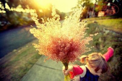 《乡土中国》读后感实用范文6篇