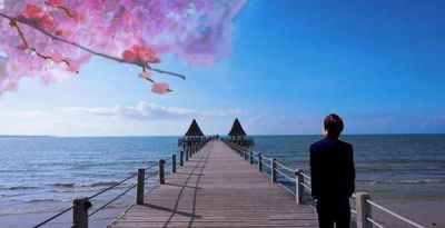 《故乡》读后感模板范文11篇