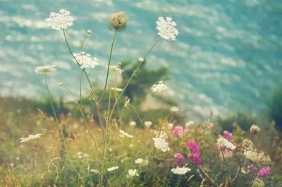 《我与地坛》读后感集锦范文6篇