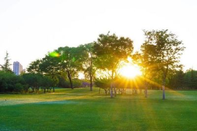 实用版大学生求职简历范文三篇