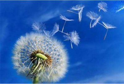 垃圾分类倡议书实用范文4篇