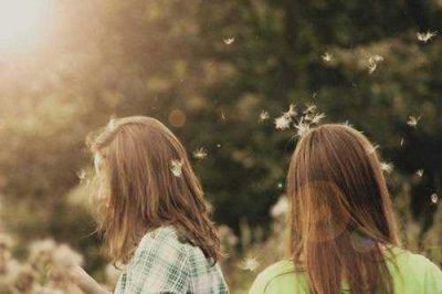 五年级语文教师个人工作计划最新5篇