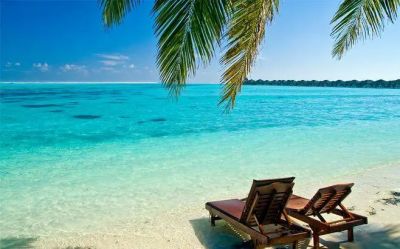 2022《森林报》读后感范文7篇