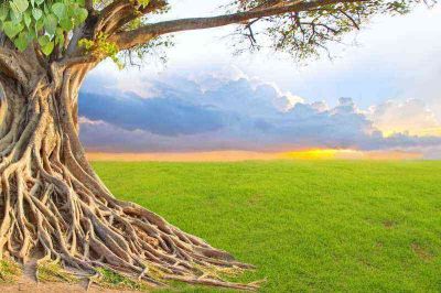 八年级上册数学教学工作计划表范文7篇