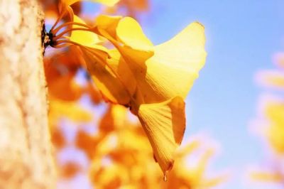 重返狼群2读后感优质6篇