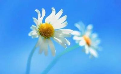 《故乡》读后感合集范文5篇