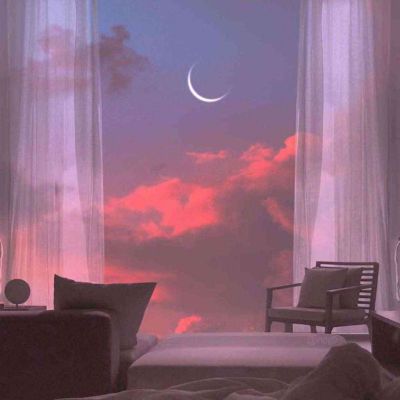 《养花》读后感精编范文10篇