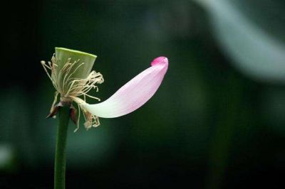 最新版教师进修学习工作总结三篇