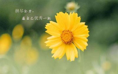 《父亲的病》读后感合集范文6篇